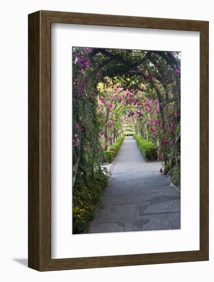 Rose Garden at Butchard Gardens in Full Bloom, Victoria, British Columbia, Canada-Terry Eggers-Framed Photographic Print