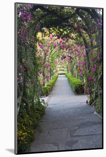 Rose Garden at Butchard Gardens in Full Bloom, Victoria, British Columbia, Canada-Terry Eggers-Mounted Photographic Print