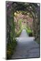 Rose Garden at Butchard Gardens in Full Bloom, Victoria, British Columbia, Canada-Terry Eggers-Mounted Photographic Print