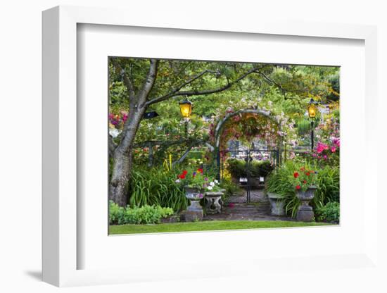 Rose Garden at Butchard Gardens in Full Bloom, Victoria, British Columbia, Canada-Terry Eggers-Framed Photographic Print