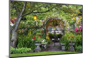 Rose Garden at Butchard Gardens in Full Bloom, Victoria, British Columbia, Canada-Terry Eggers-Mounted Photographic Print