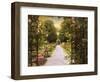 Rose Garden Gate-Jessica Jenney-Framed Giclee Print