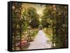 Rose Garden Gate-Jessica Jenney-Framed Stretched Canvas