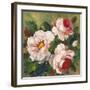 Rose Garden I-Parastoo Ganjei-Framed Art Print