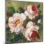 Rose Garden I-Parastoo Ganjei-Mounted Giclee Print