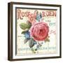 Rose Garden I-Lisa Audit-Framed Art Print