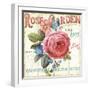 Rose Garden I-Lisa Audit-Framed Premium Giclee Print