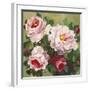 Rose Garden II-Parastoo Ganjei-Framed Art Print