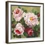 Rose Garden II-Parastoo Ganjei-Framed Art Print