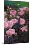 Rose Garden II-li bo-Mounted Art Print