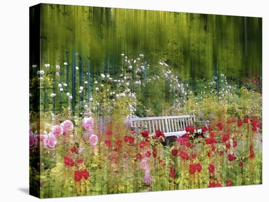Rose Garden Impressions-Jessica Jenney-Stretched Canvas