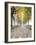Rose Garden in the Neue Residenz (New Palace) in Bamberg, Germany-Michael DeFreitas-Framed Photographic Print