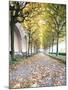 Rose Garden in the Neue Residenz (New Palace) in Bamberg, Germany-Michael DeFreitas-Mounted Photographic Print