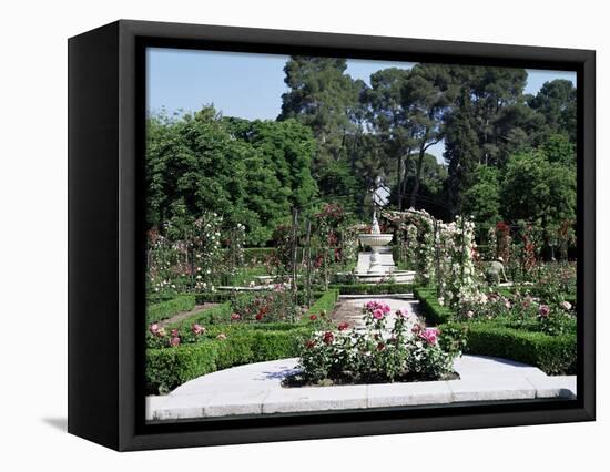 Rose Garden, Parque Del Retiro, Madrid, Spain-Jeremy Bright-Framed Stretched Canvas