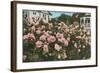 Rose Garden, Portland, Oregon-null-Framed Art Print