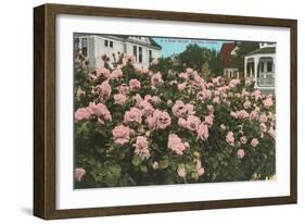 Rose Garden, Portland, Oregon-null-Framed Art Print