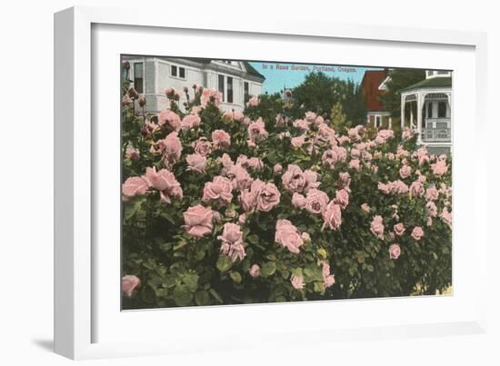 Rose Garden, Portland, Oregon-null-Framed Art Print