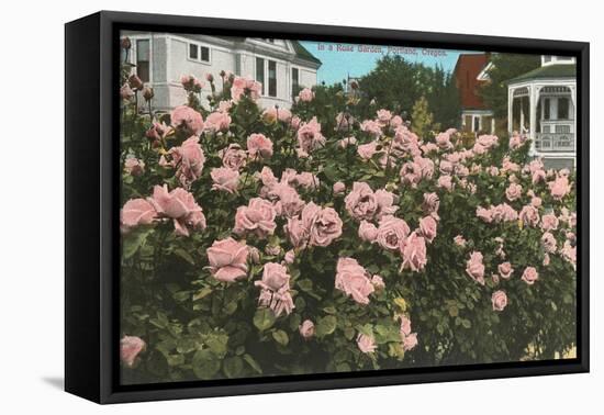 Rose Garden, Portland, Oregon-null-Framed Stretched Canvas