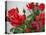 Rose Garden-Nicole Katano-Stretched Canvas