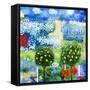 Rose Garden-Mike Smith-Framed Stretched Canvas