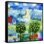 Rose Garden-Mike Smith-Framed Stretched Canvas