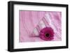 Rose Gerbera Blossom with Heart Made of Fabric-Andrea Haase-Framed Photographic Print