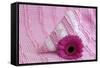 Rose Gerbera Blossom with Heart Made of Fabric-Andrea Haase-Framed Stretched Canvas