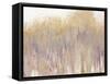 Rose Gold Expression-Roberto Gonzalez-Framed Stretched Canvas