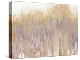 Rose Gold Expression-Roberto Gonzalez-Stretched Canvas