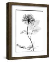 Rose Gray A-Albert Koetsier-Framed Art Print