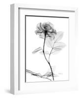 Rose Gray A-Albert Koetsier-Framed Premium Giclee Print