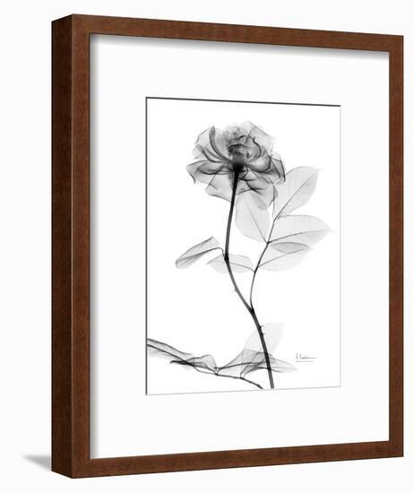 Rose Gray A-Albert Koetsier-Framed Premium Giclee Print