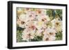 Rose Hedge-Lilia Orlova Holmes-Framed Giclee Print