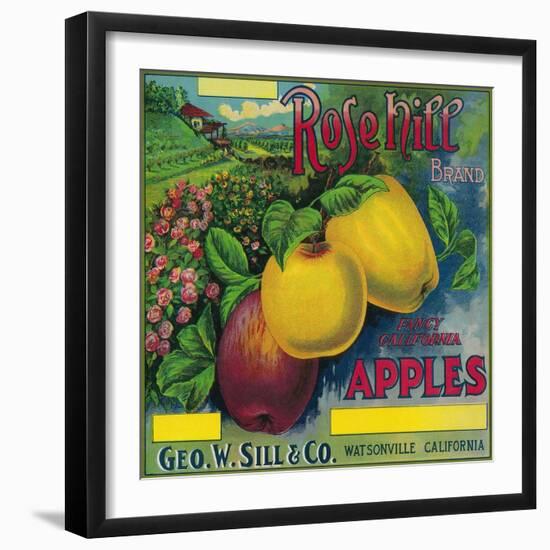 Rose Hill Apple Crate Label - Watsonville, CA-Lantern Press-Framed Art Print