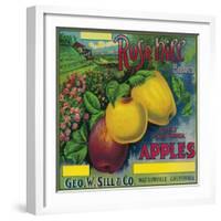 Rose Hill Apple Crate Label - Watsonville, CA-Lantern Press-Framed Art Print