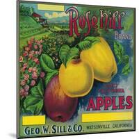 Rose Hill Apple Crate Label - Watsonville, CA-Lantern Press-Mounted Art Print