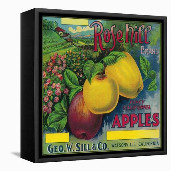 Rose Hill Apple Crate Label - Watsonville, CA-Lantern Press-Framed Stretched Canvas