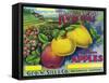 Rose Hill Brand Apple Label, Watsonville, California-Lantern Press-Framed Stretched Canvas