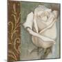 Rose I-Patricia Pinto-Mounted Art Print