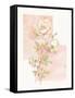 Rose I-unknown VanDyk-Framed Stretched Canvas