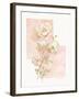 Rose I-unknown VanDyk-Framed Art Print