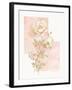 Rose I-unknown VanDyk-Framed Art Print