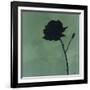 Rose II-Robert Charon-Framed Art Print