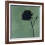 Rose II-Robert Charon-Framed Art Print