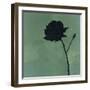 Rose II-Robert Charon-Framed Art Print