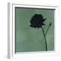 Rose II-Robert Charon-Framed Art Print