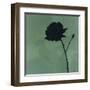 Rose II-Robert Charon-Framed Art Print