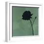 Rose II-Robert Charon-Framed Art Print