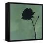 Rose II-Robert Charon-Framed Stretched Canvas