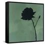 Rose II-Robert Charon-Framed Stretched Canvas